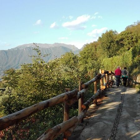 Agriturismo Cascina Lert マローネ エクステリア 写真