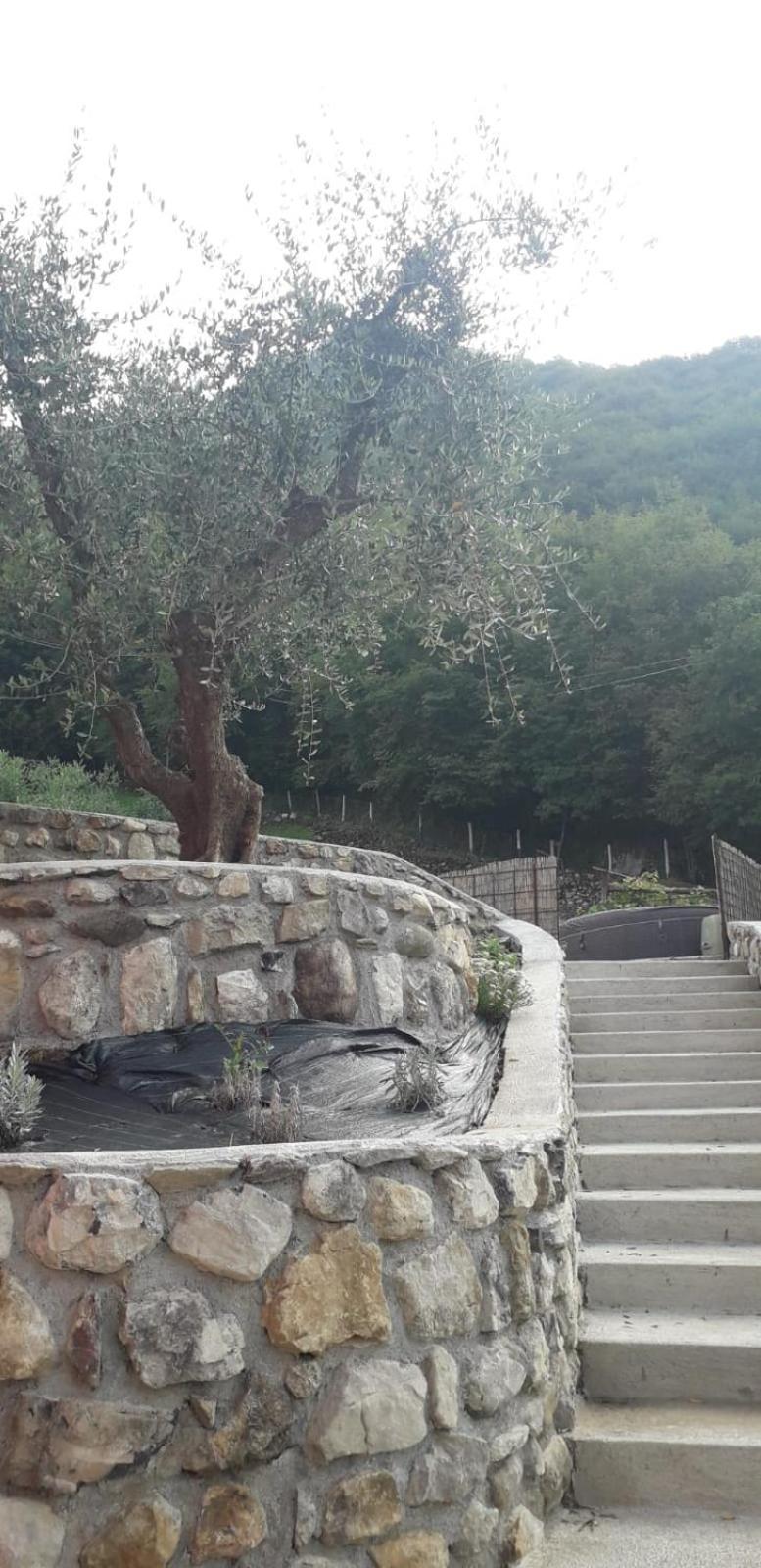 Agriturismo Cascina Lert マローネ エクステリア 写真