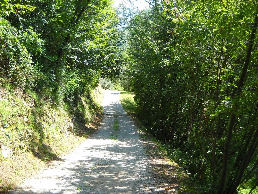 Agriturismo Cascina Lert マローネ エクステリア 写真